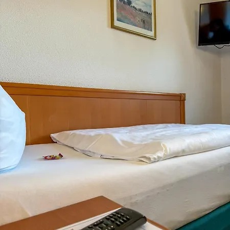 Hotel-restaurant Dechbettener Hof מלון *